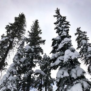 Meet your Posher, Zander